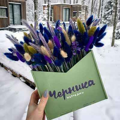Игора – снять домик